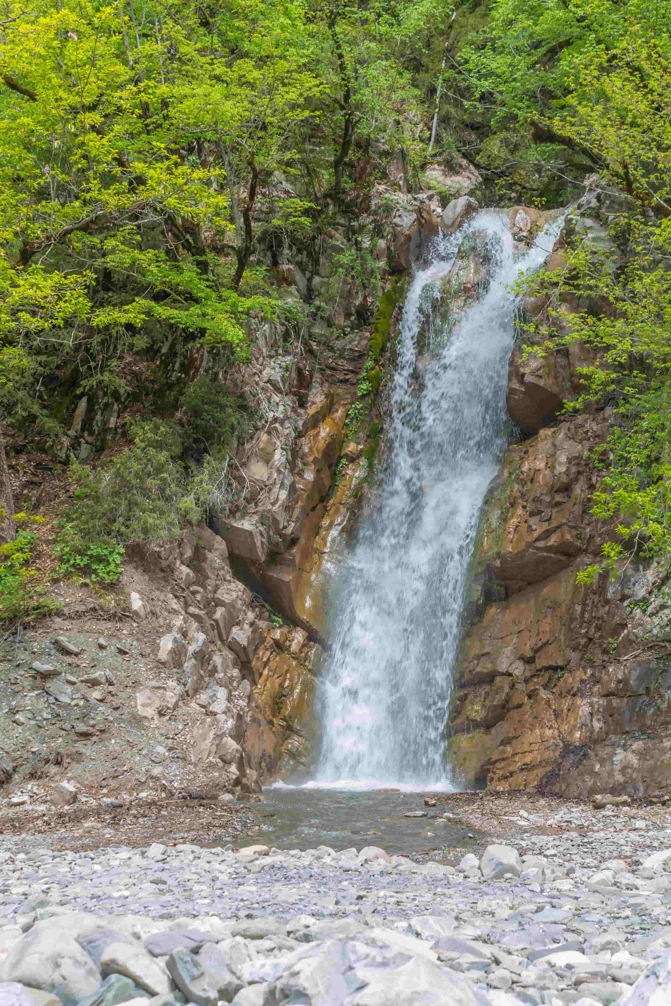Mərkəzi Aran